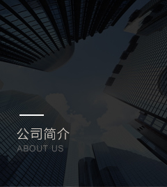 公司簡(jiǎn)介